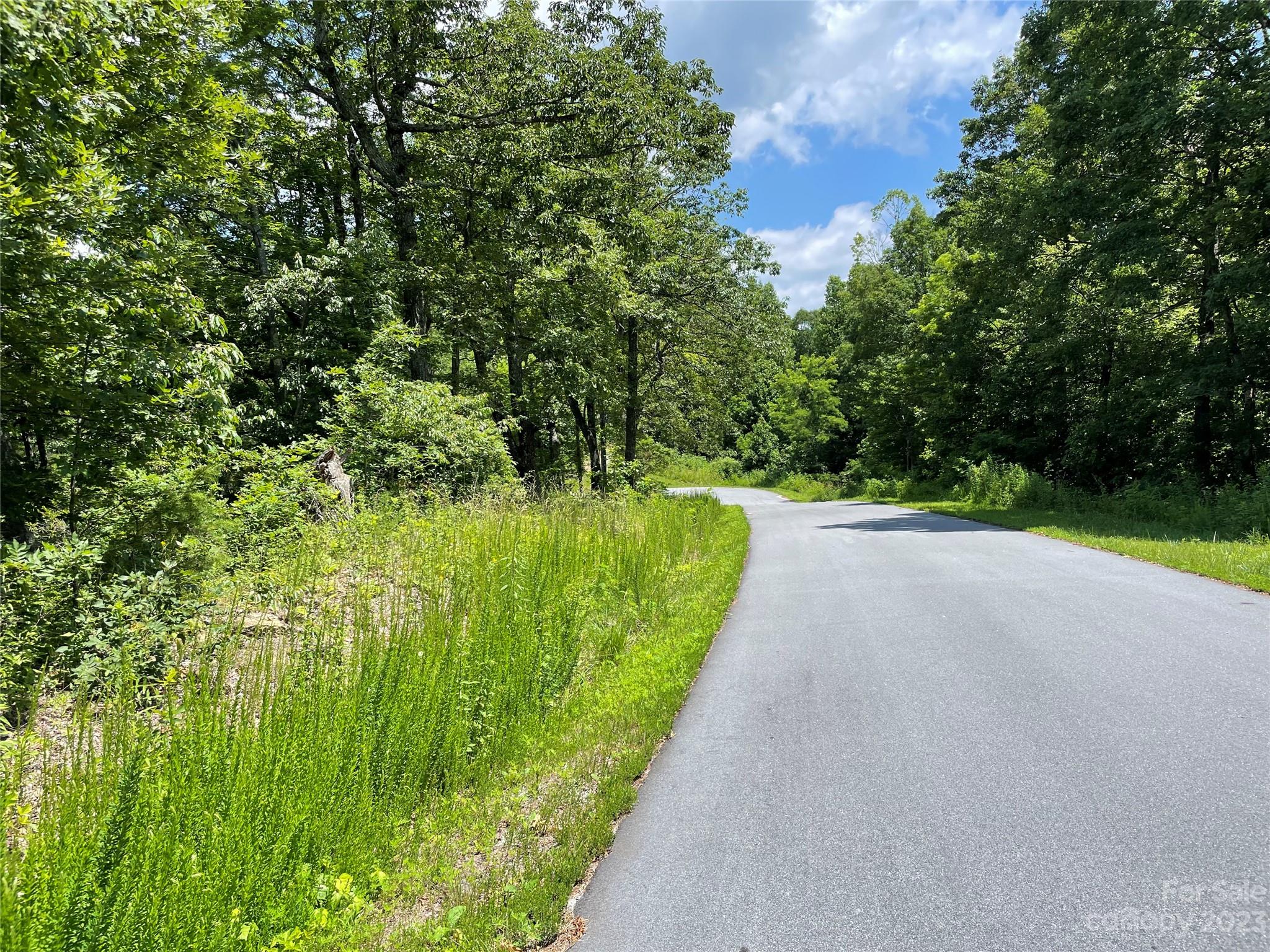 92 Devin Rdg Lane Union Mills, NC 28167 - Photo 19 of 28 a view of a garden