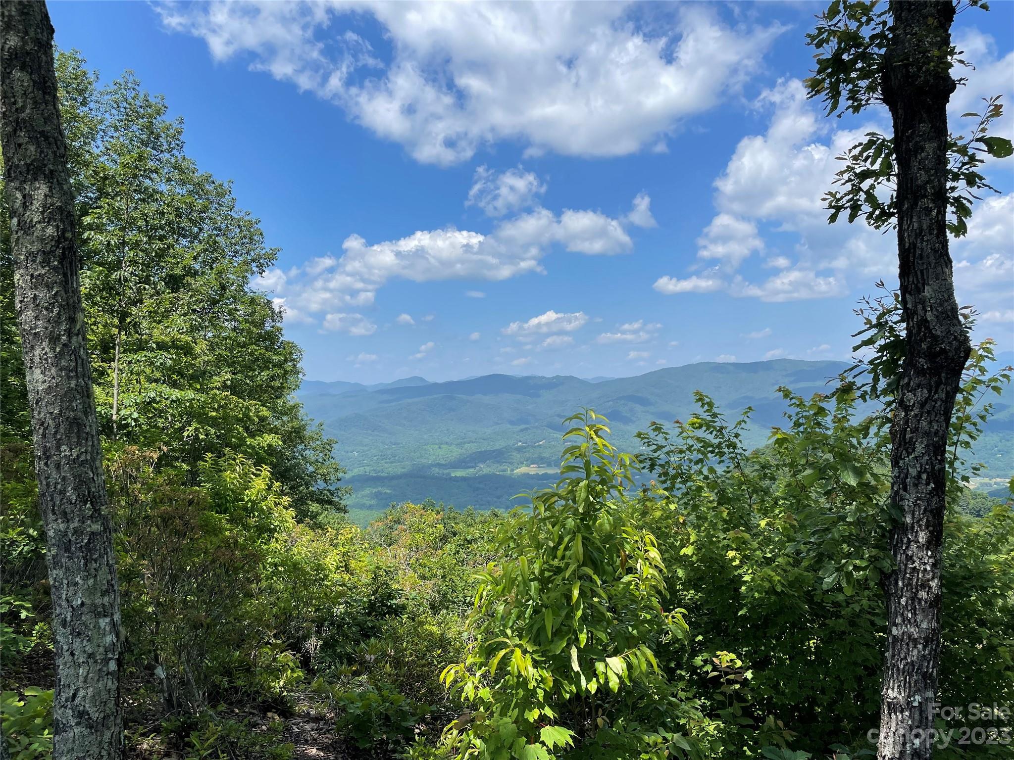 92 Devin Rdg Lane Union Mills, NC 28167 - Photo 23 of 28 a view of a garden