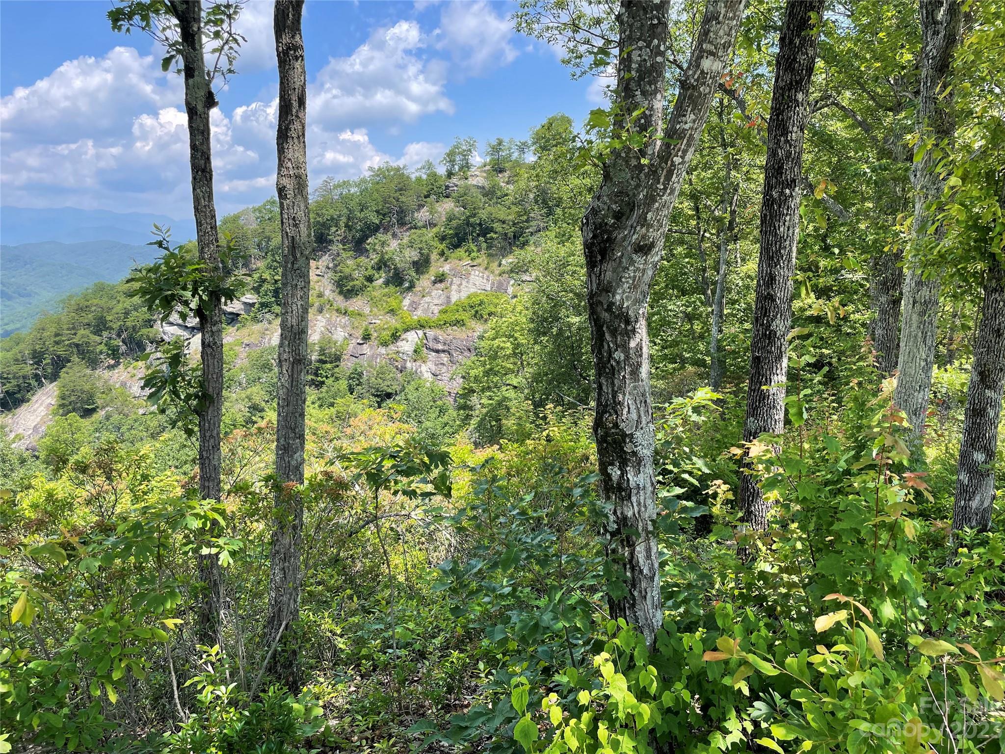 92 Devin Rdg Lane Union Mills, NC 28167 - Photo 24 of 28 a view of a garden
