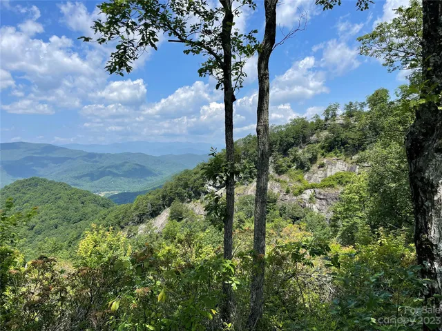 a view of a lake in middle of forest