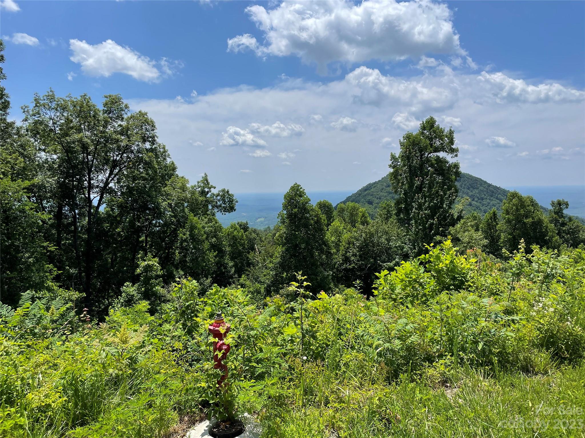92 Devin Rdg Lane Union Mills, NC 28167 - Photo 26 of 28 a view of a lake in middle of forest