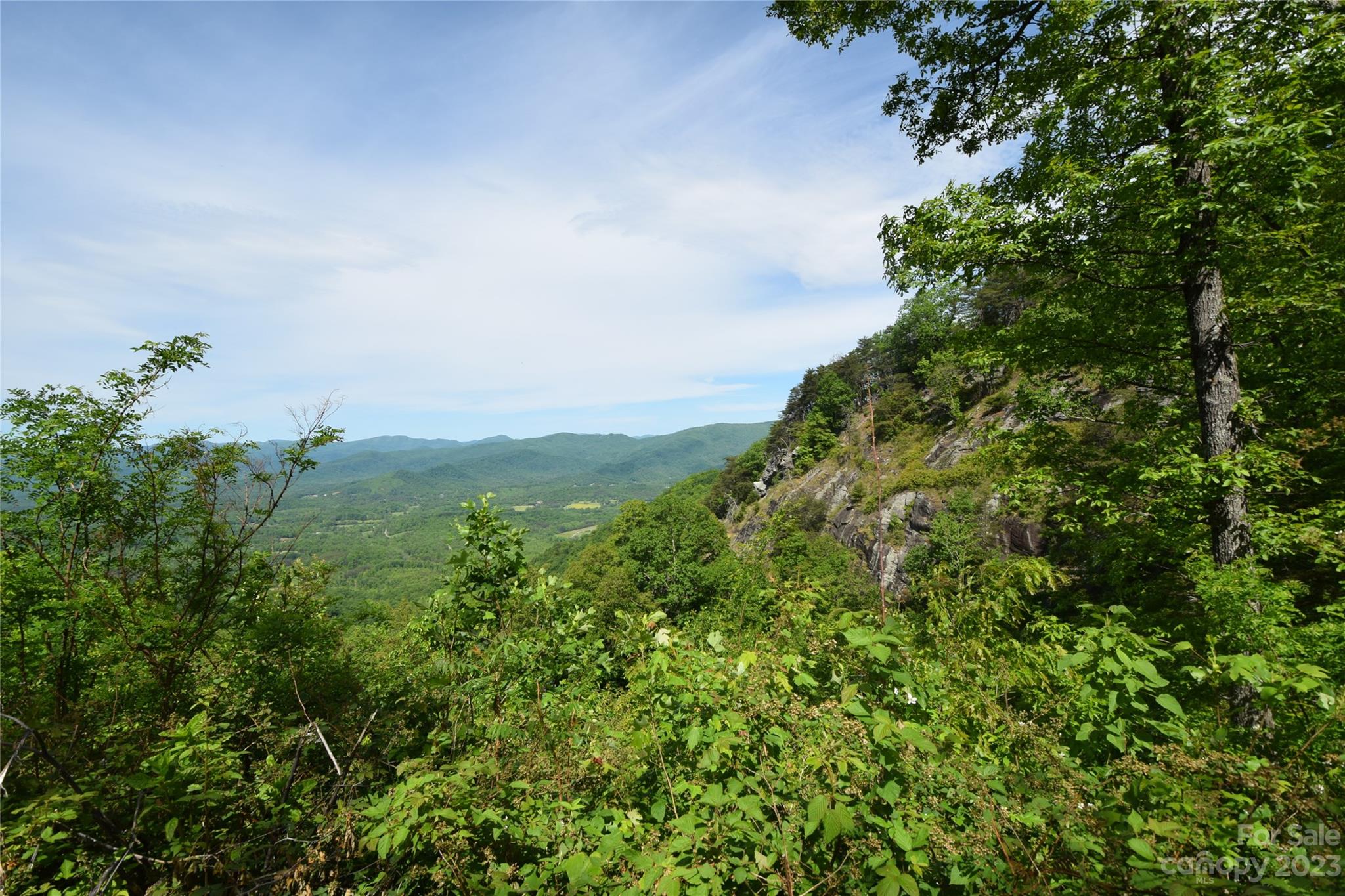 92 Devin Rdg Lane Union Mills, NC 28167 - Photo 4 of 28 a view of a green field