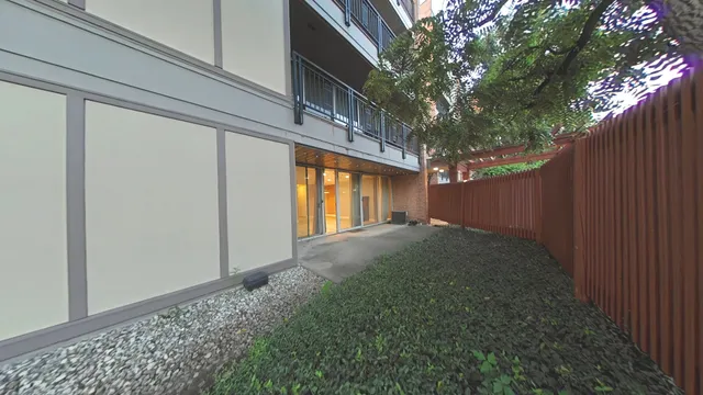 a view of backyard and tree