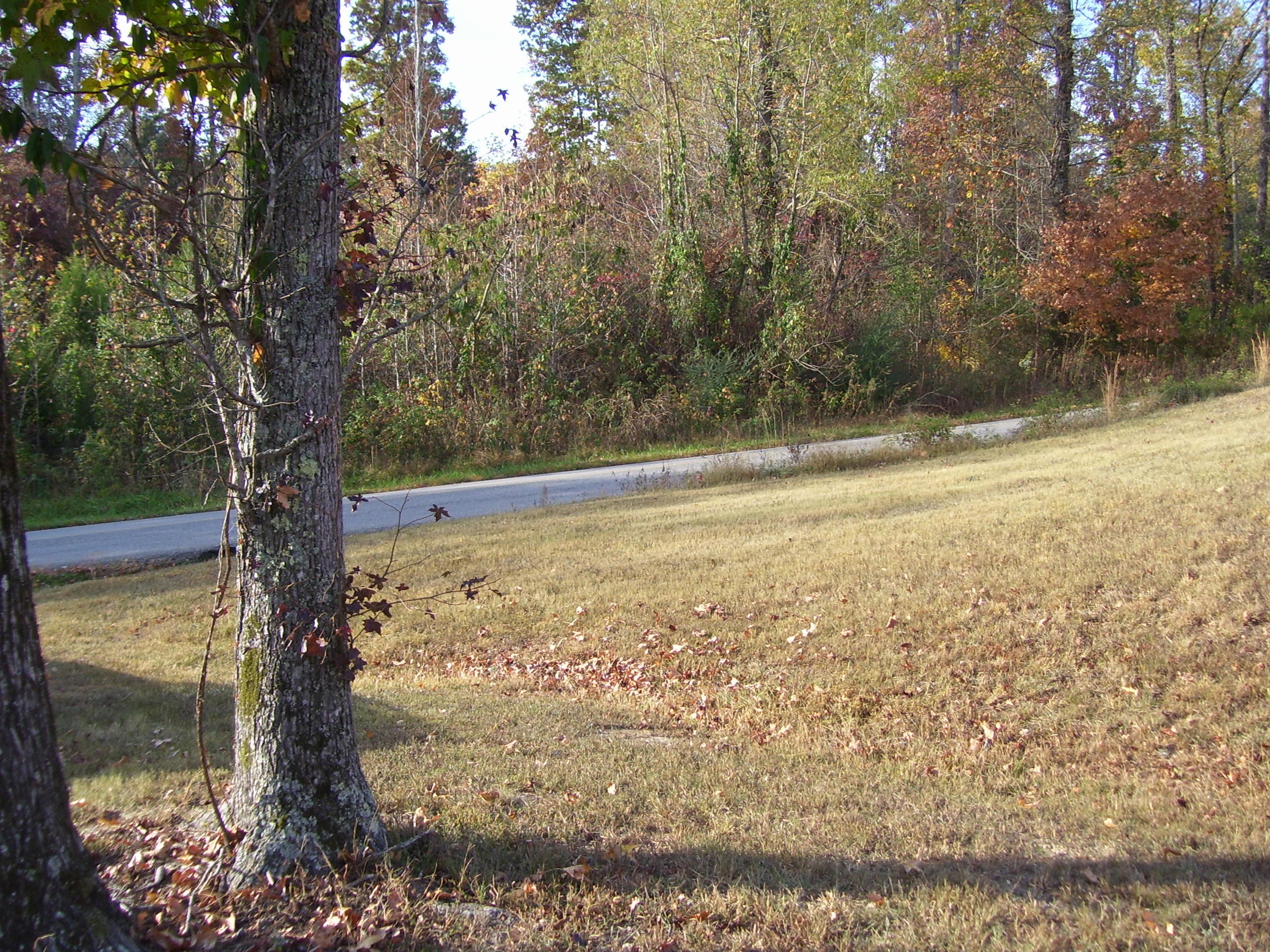 320 Eaves Ferry Road Decatur, TN 37322 - Photo 22 of 22 320 Eaves ferry road 004