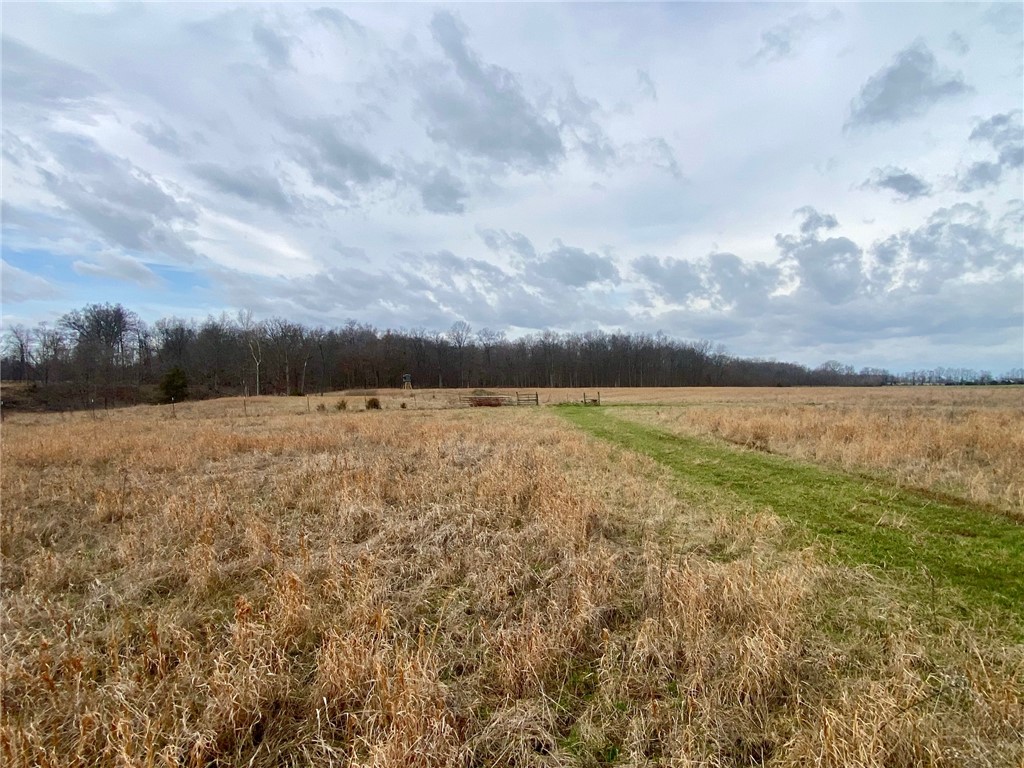 77 Wildcat Road Winchester, OH 45697 - Photo 8 of 19 Expansive natural fields offer tranquil views and endless possibilities for development or recreation.