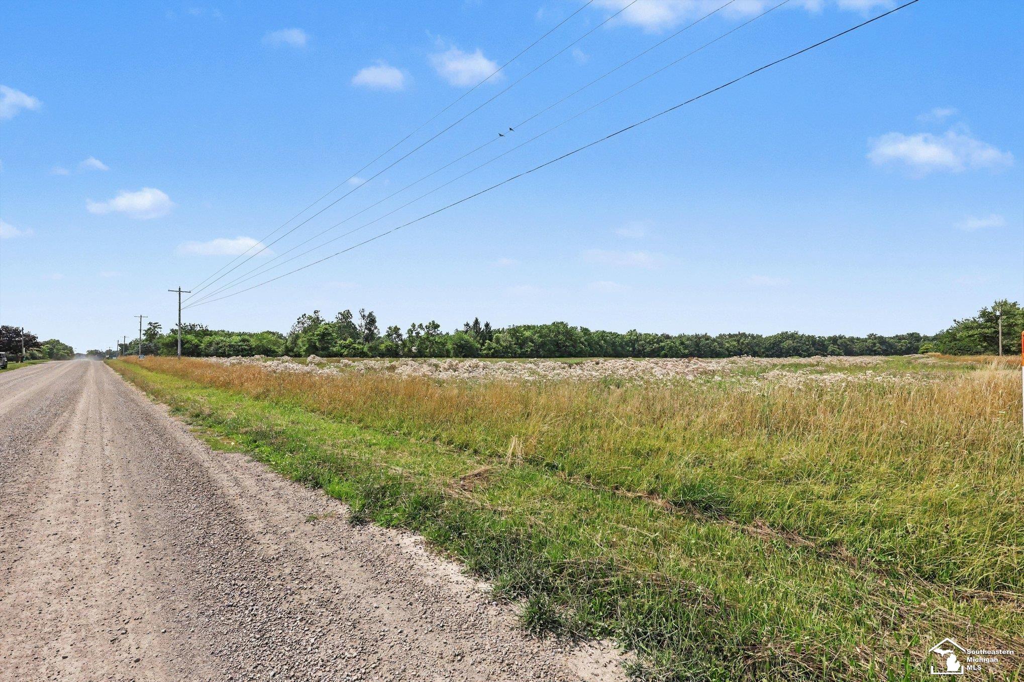 4000 Tomer Road Adrian, MI 49221 - Photo 14 of 19