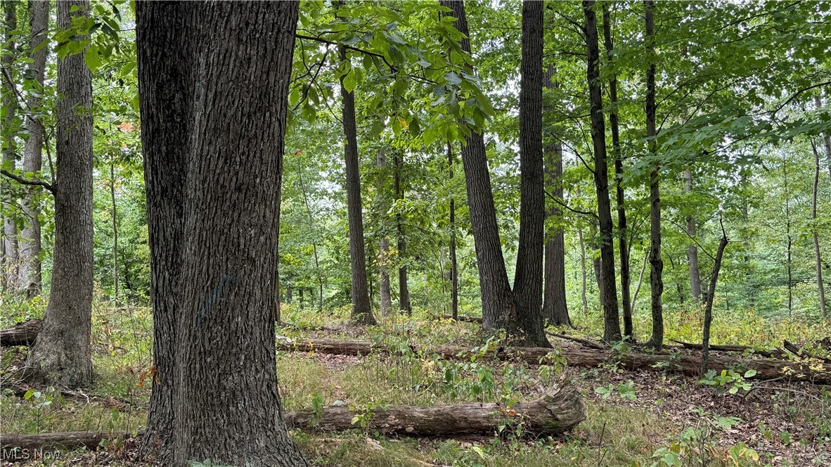 Riley Chapel Road Howard, OH 43028 - Photo 25 of 27