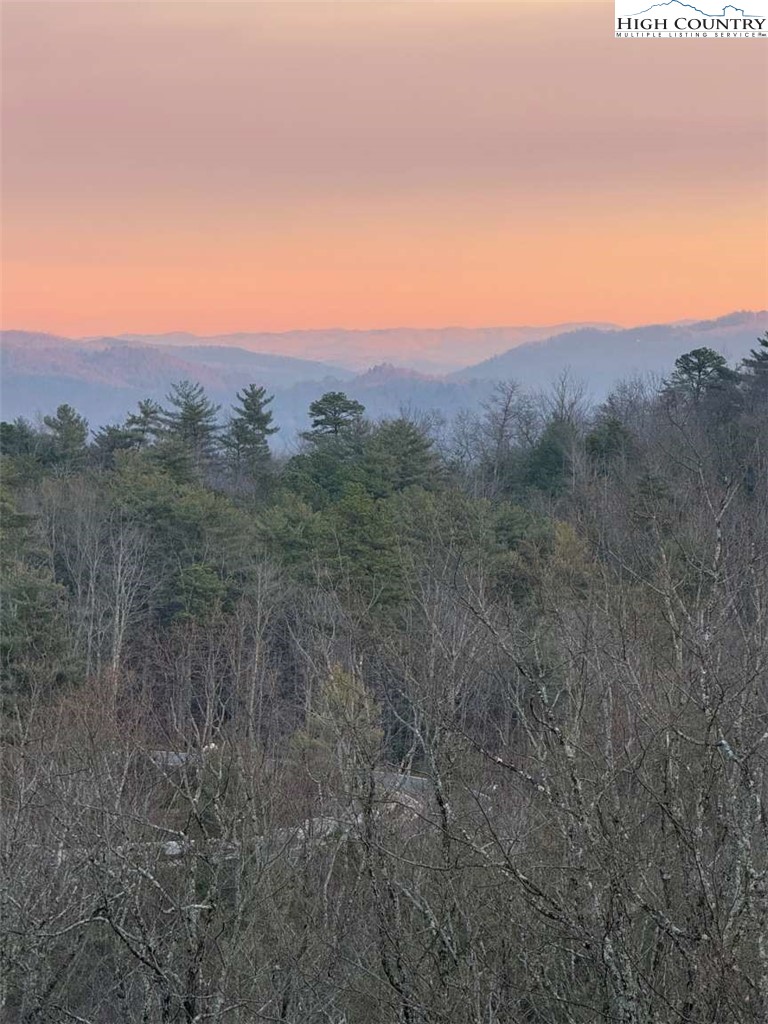 856 Ninebark Road Boone, NC 28607 - Photo 3 of 30 a view of a city with lush green forest
