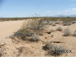 1020 East Rimrock Drive Yucca, AZ 86438 - Photo 11 of 12 Additional Photo