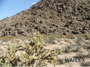 1020 East Rimrock Drive Yucca, AZ 86438 - Photo 12 of 12 Additional Photo