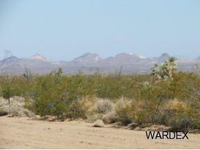 1020 East Rimrock Drive Yucca, AZ 86438 - Photo 6 of 12 Additional Photo