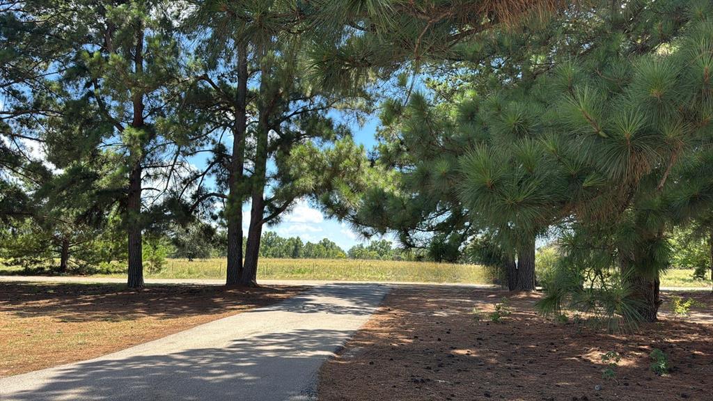 5337 Dusty Road Athens, TX 75752 - Photo 2 of 32