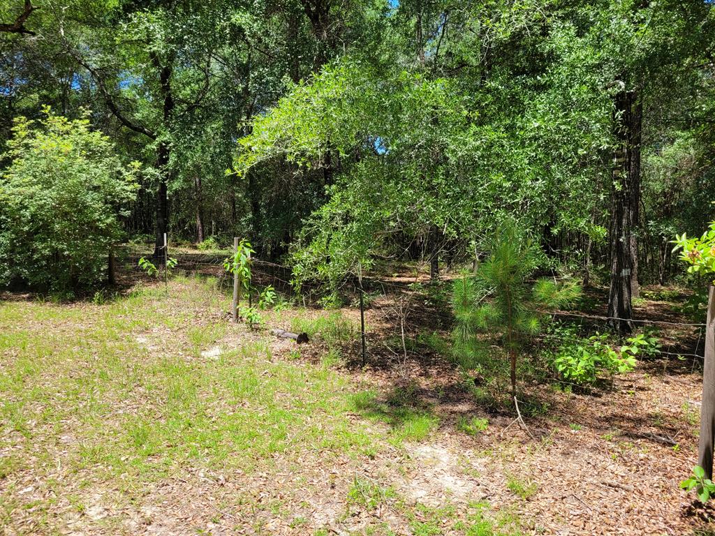 17639 North Creek Road Florala, AL 36442 - Photo 16 of 40