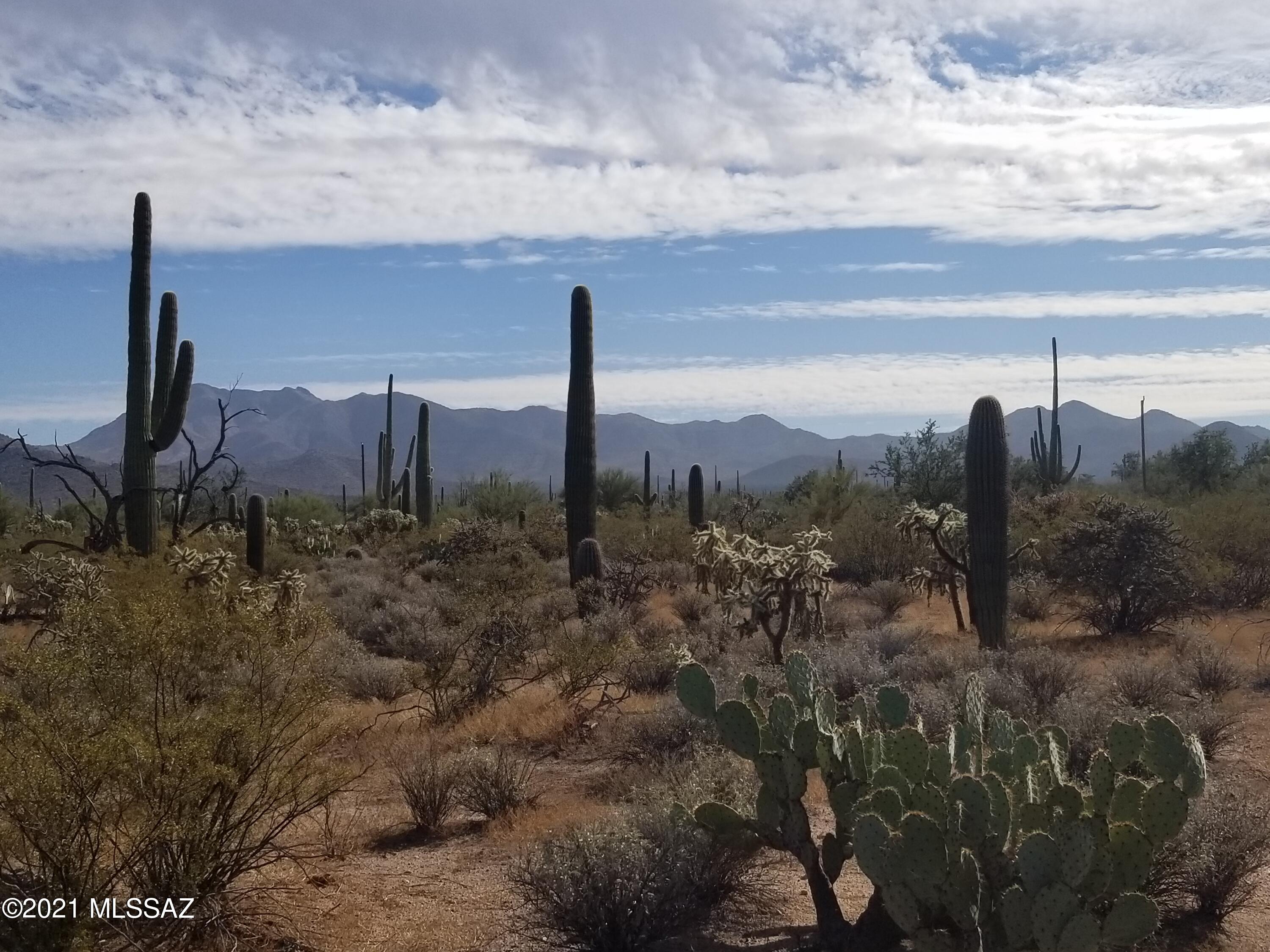 11110 West Rudasill Road, Unit 4 66 AC Tucson, AZ 85743 - Photo 3 of 19
