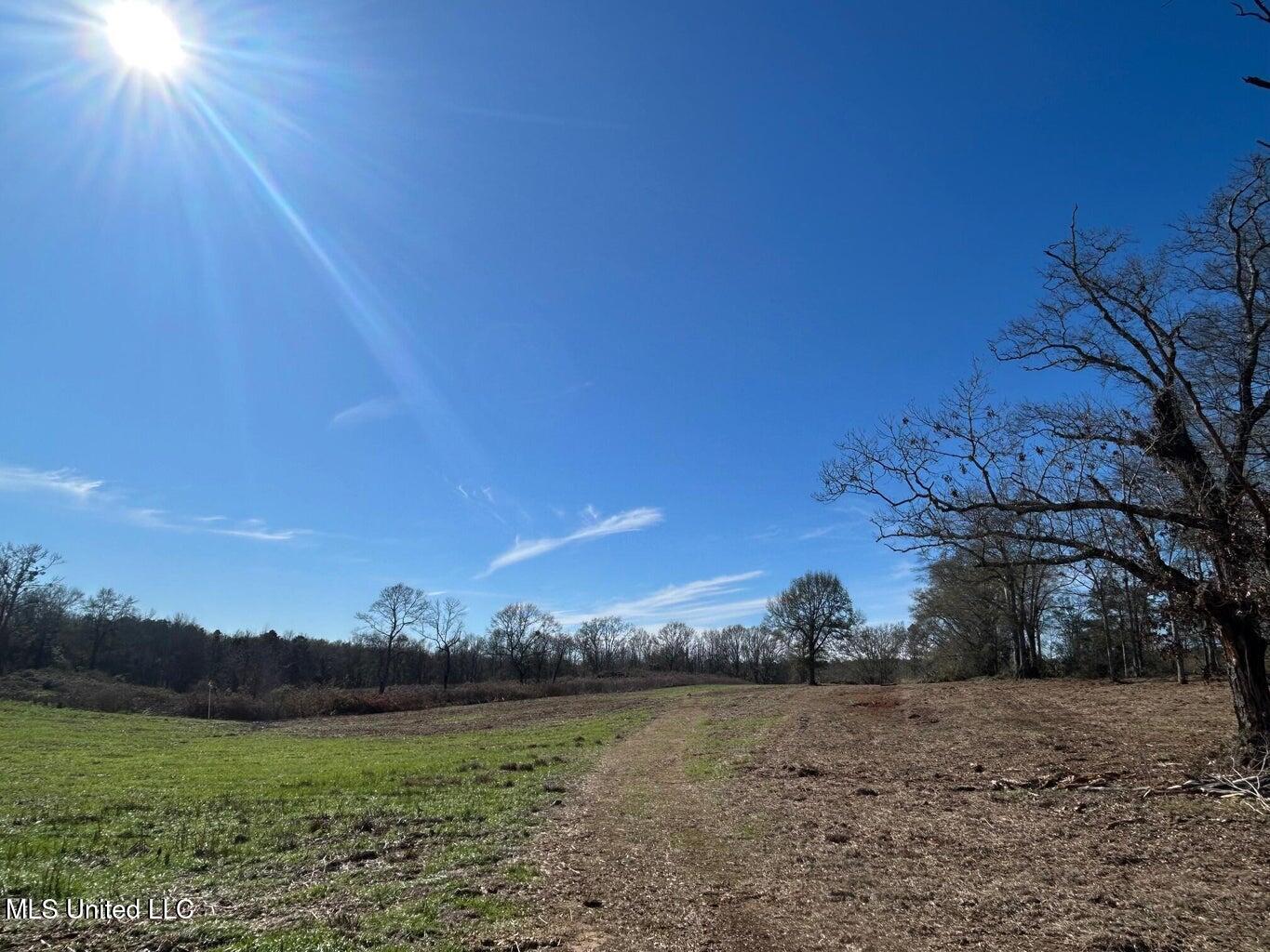 0 Biltmore Road McComb, MS 39648 - Photo 1 of 18 20260128025740047755000000-o