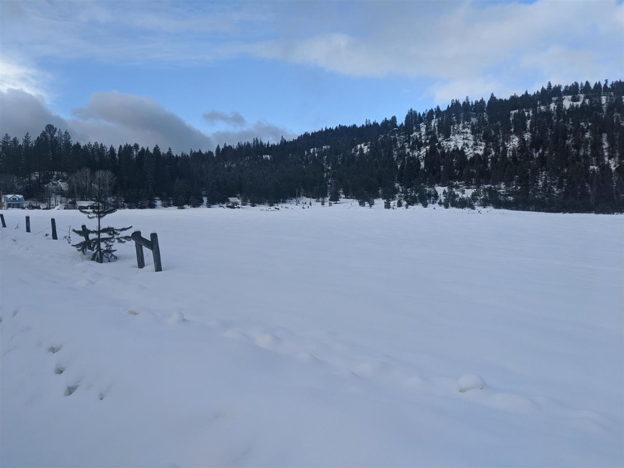 591-tbd Smackout Pass Road Ione, WA 99139 - Photo 3 of 8