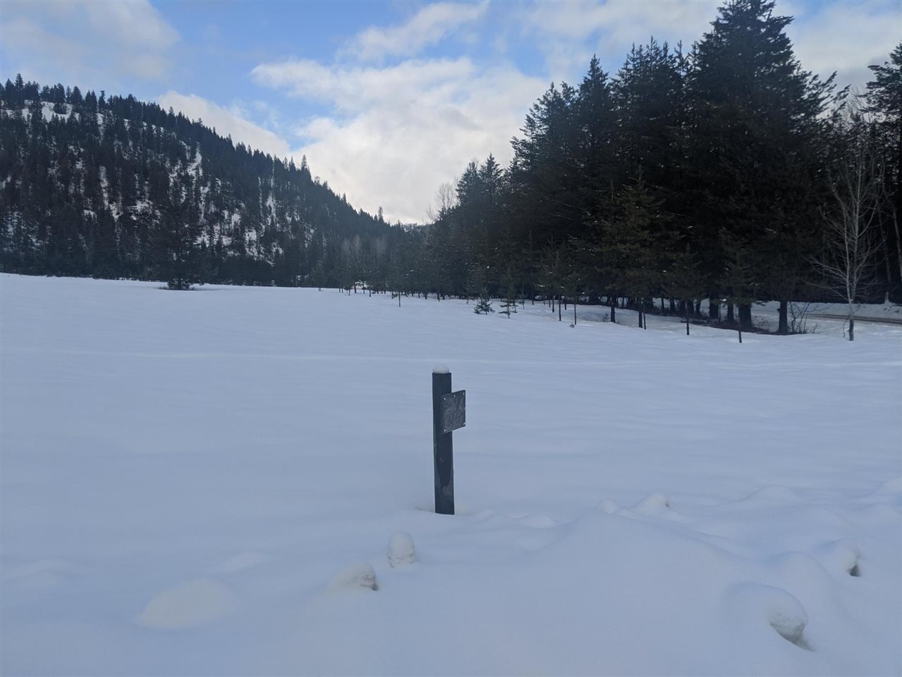 591-tbd Smackout Pass Road Ione, WA 99139 - Photo 4 of 8