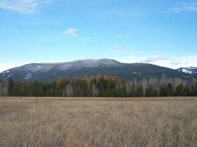 591-tbd Smackout Pass Road Ione, WA 99139 - Photo 6 of 8