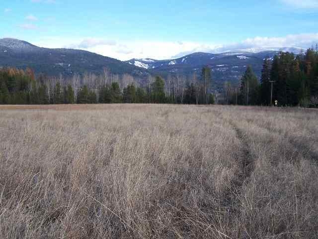 591-tbd Smackout Pass Road Ione, WA 99139 - Photo 7 of 8