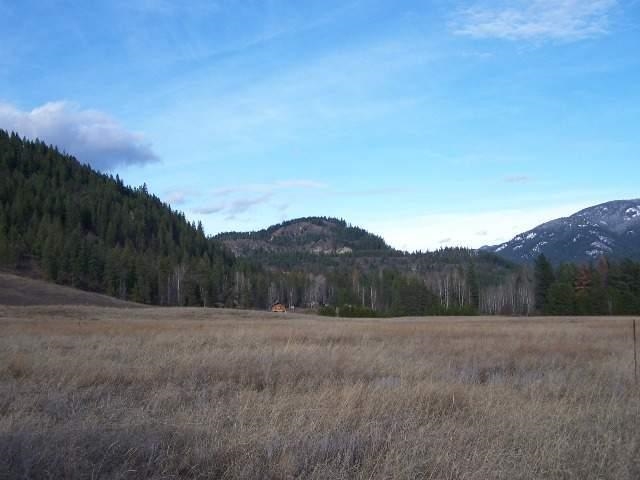 591-tbd Smackout Pass Road Ione, WA 99139 - Photo 8 of 8