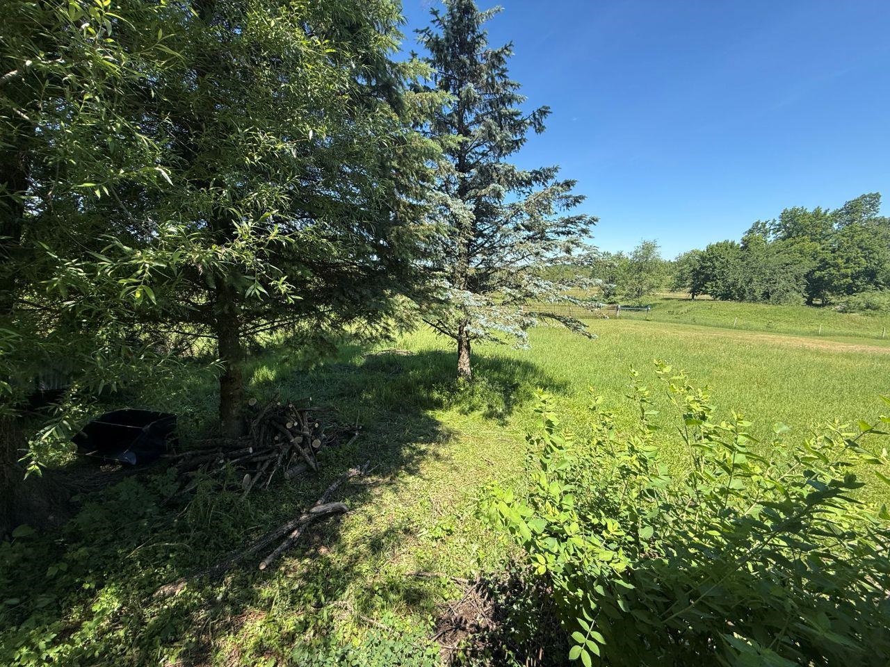 W12628 Leopolis Road Leopolis, WI 54948 - Photo 23 of 24