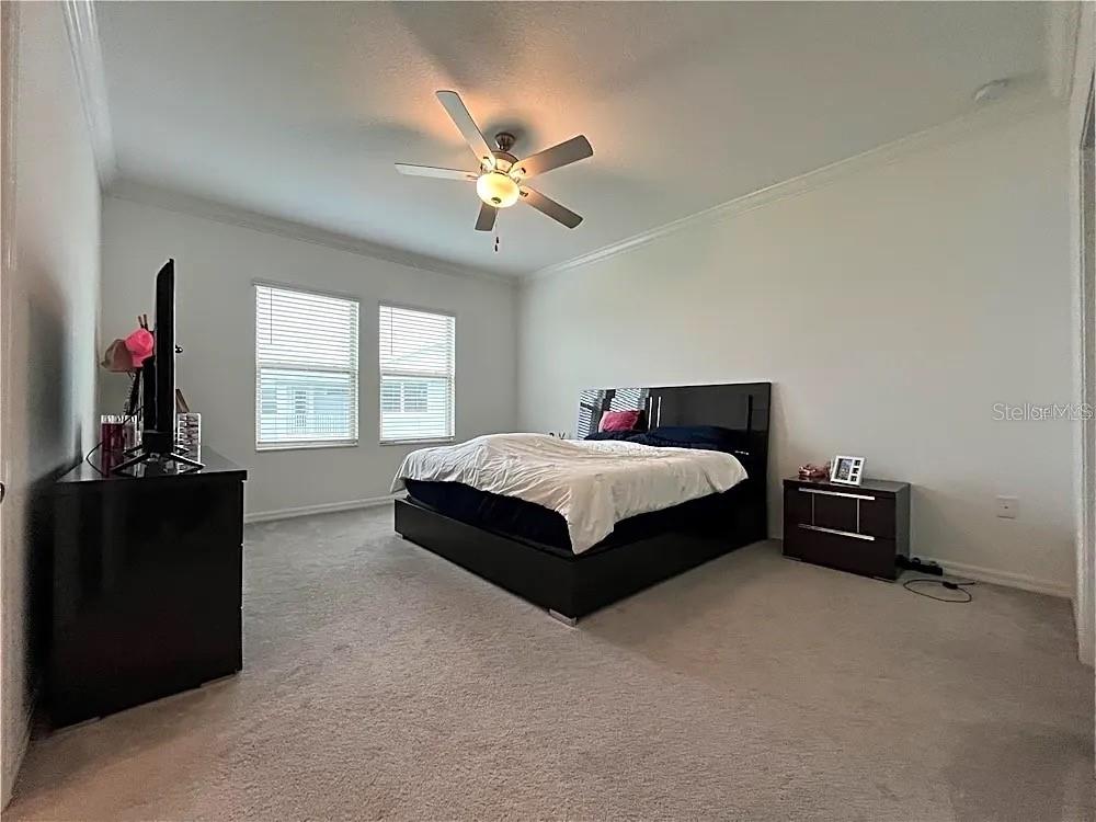 31751 Blue Passing Loop Wesley Chapel, FL 33545 - Photo 9 of 18 a bedroom with a bed and a chandelier