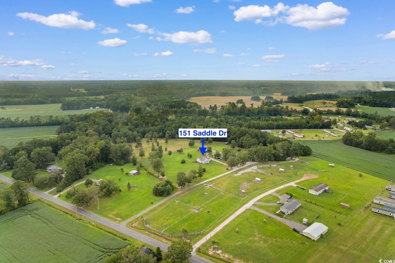 151 Saddle Drive Loris, SC 29569 - Photo 37 of 40