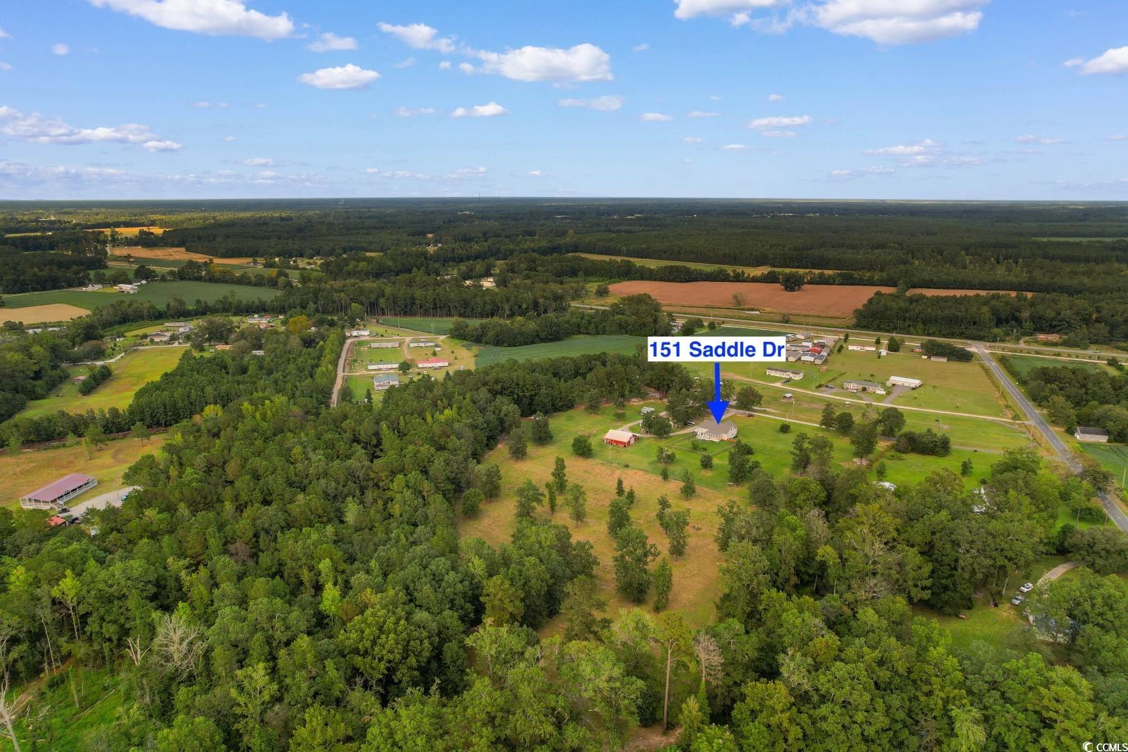 151 Saddle Drive Loris, SC 29569 - Photo 38 of 40