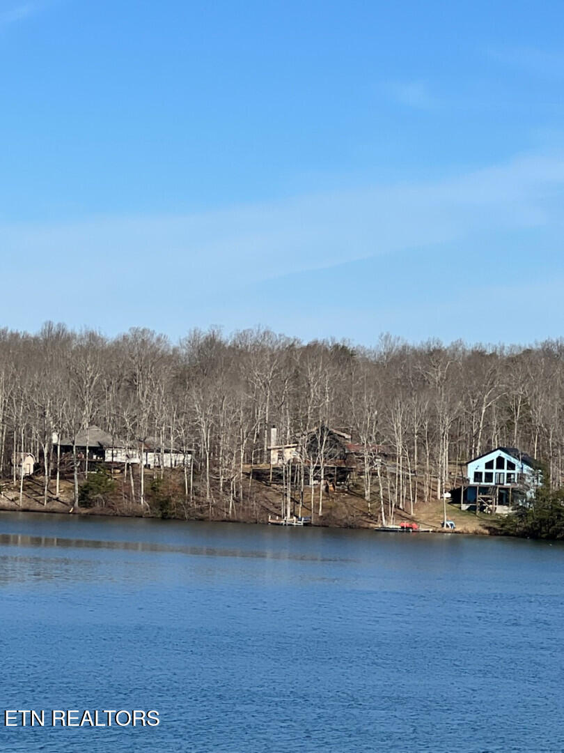 Lot 41 Crystal Point Monterey, TN 38574 - Photo 3 of 10 CrystalPointe_67631_2