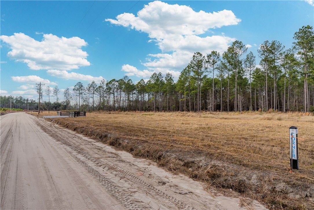 Lot 17 Lanes Church Road Brooklet, GA 30415 - Photo 2 of 3