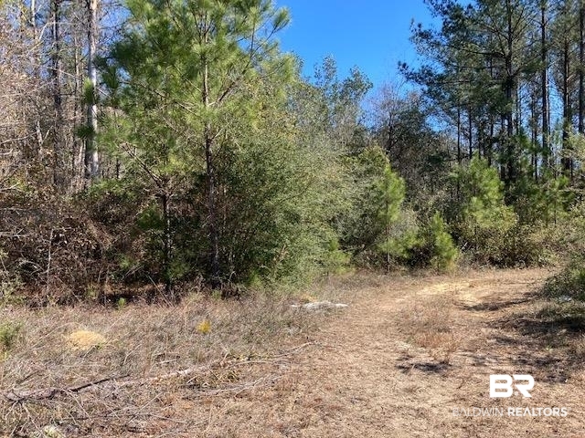 22000-block Highway 31 Flomaton, AL 36441 - Photo 10 of 20