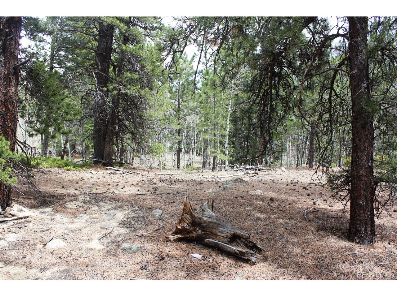 10 Pinon Circle Black Hawk, CO 80422 - Photo 13 of 29