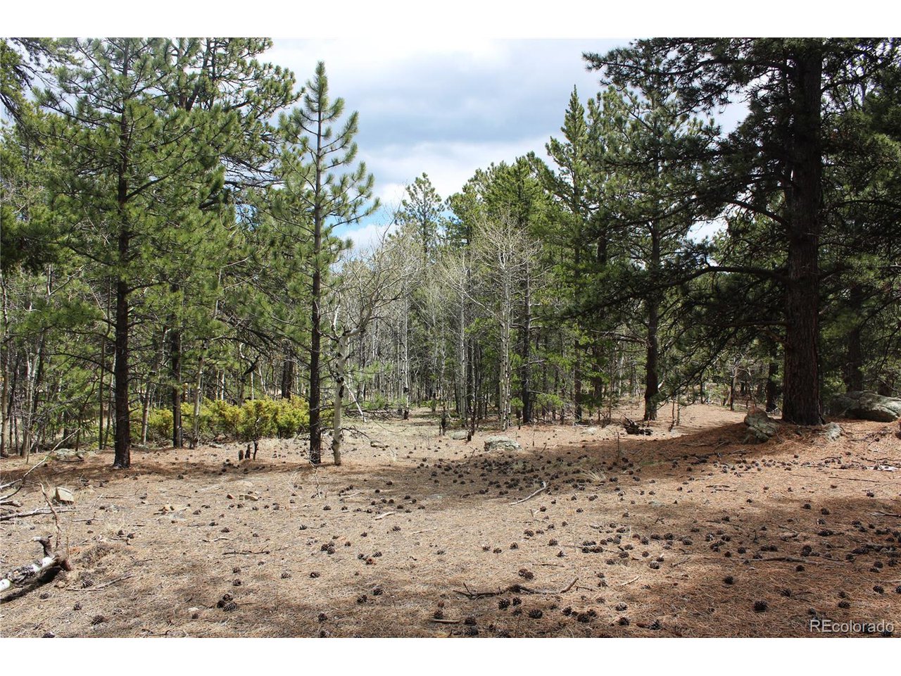 10 Pinon Circle Black Hawk, CO 80422 - Photo 14 of 29