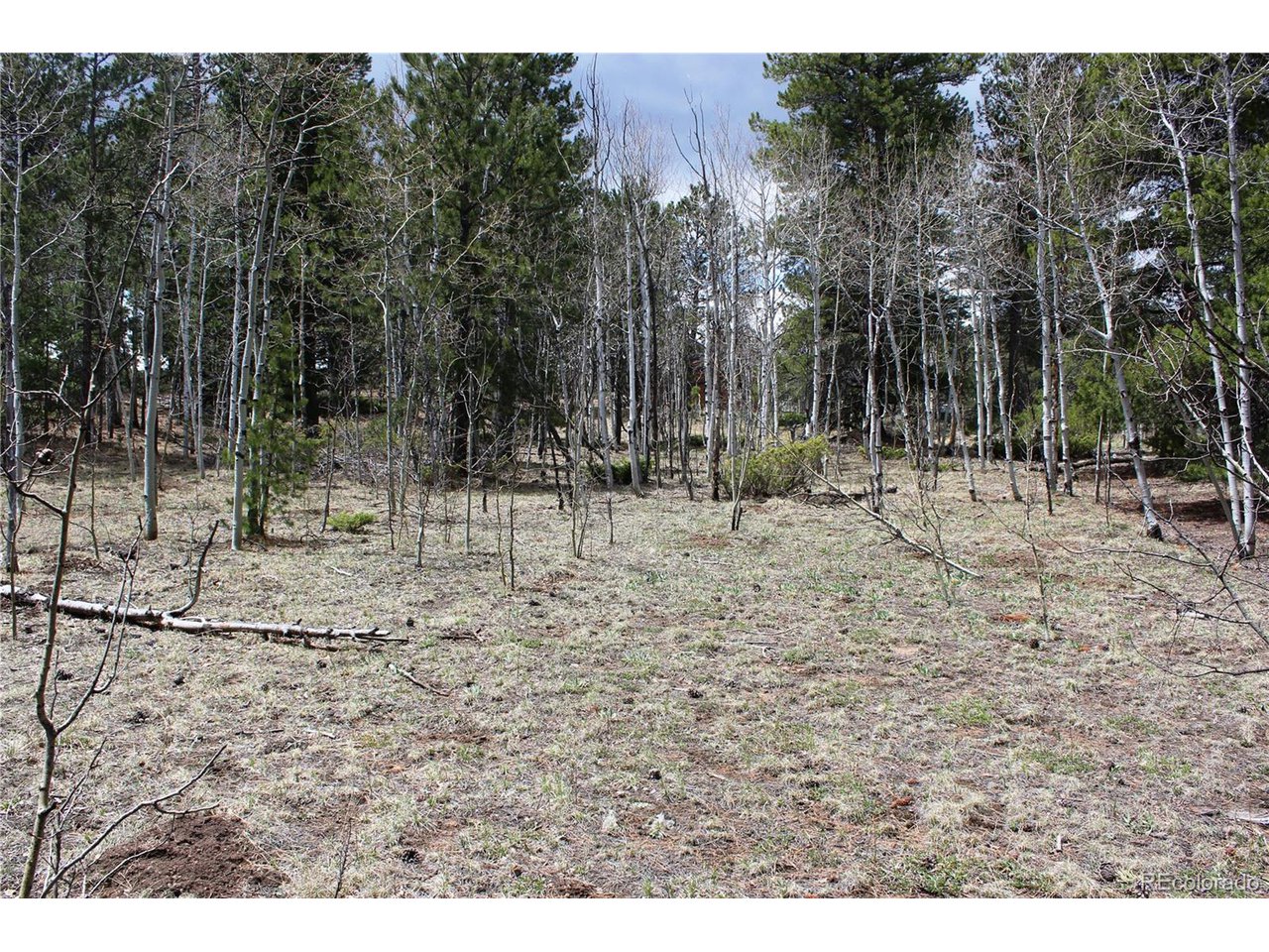 10 Pinon Circle Black Hawk, CO 80422 - Photo 17 of 29