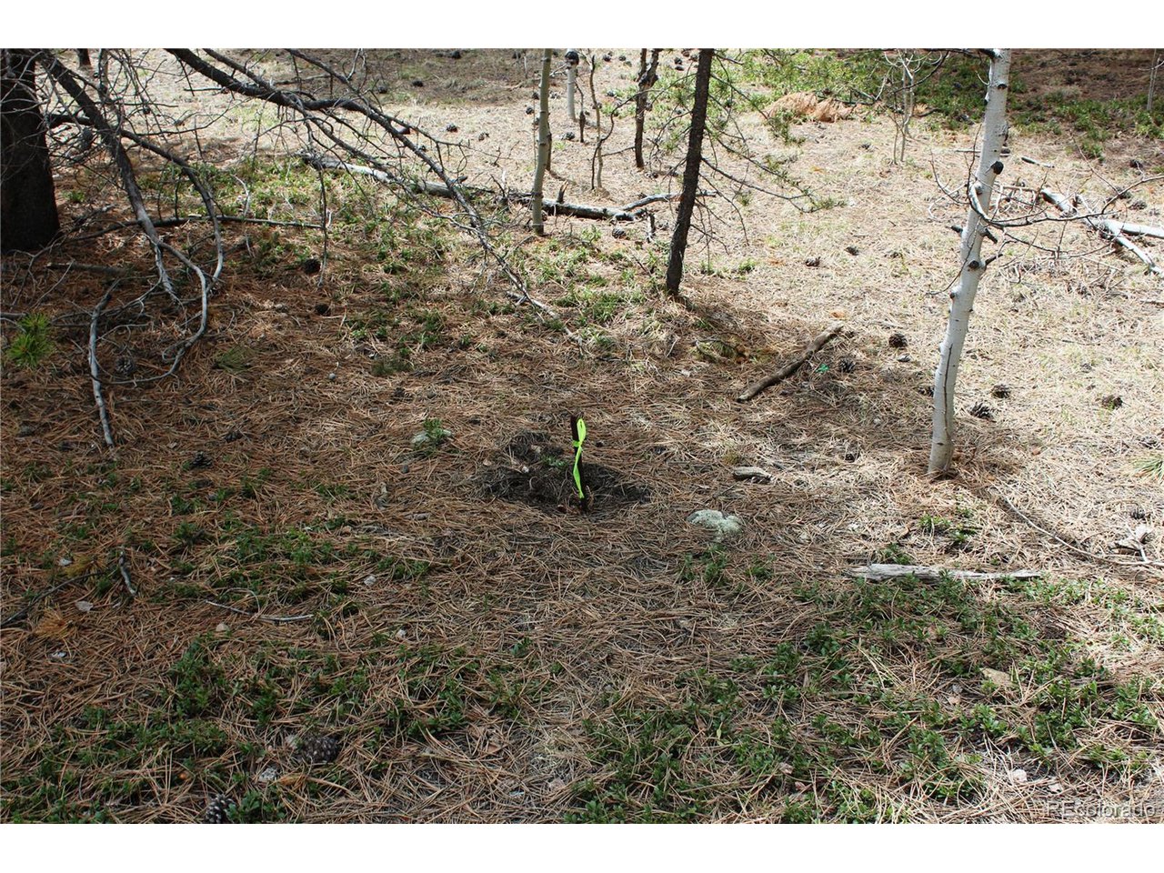10 Pinon Circle Black Hawk, CO 80422 - Photo 3 of 29