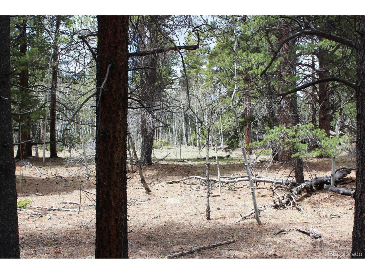 10 Pinon Circle Black Hawk, CO 80422 - Photo 4 of 29