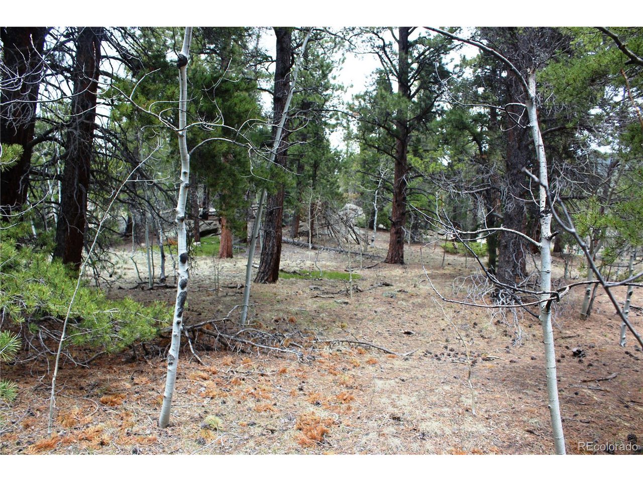 10 Pinon Circle Black Hawk, CO 80422 - Photo 8 of 29