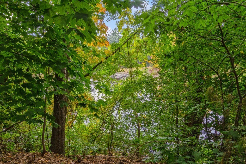96 Simpson Drive Framingham, MA 01701 - Photo 35 of 35 a view of a tree
