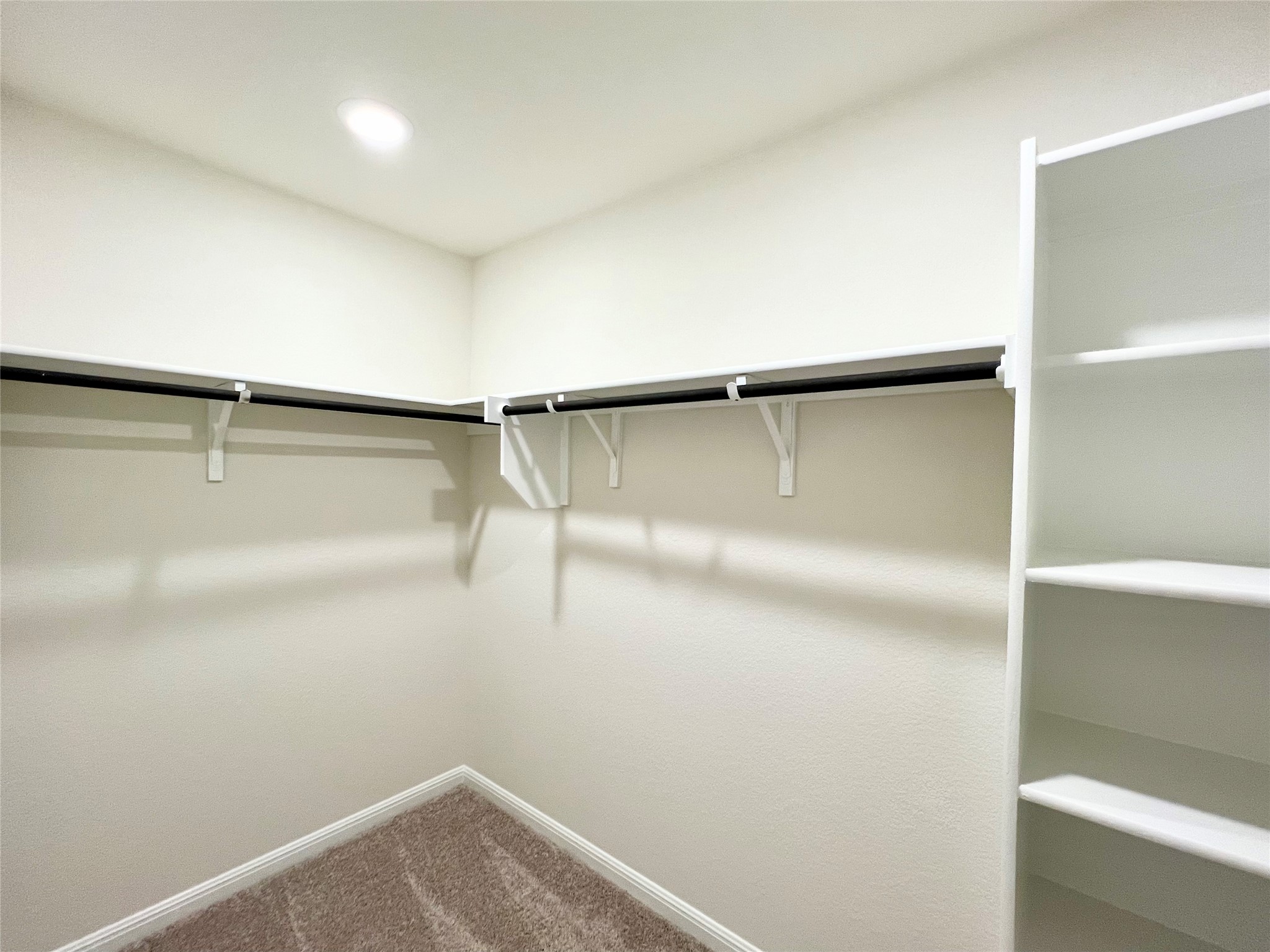 325 Alcatraz Loop Jarrell, TX 76537 - Photo 4 of 16 Walk in closet featuring carpet flooring