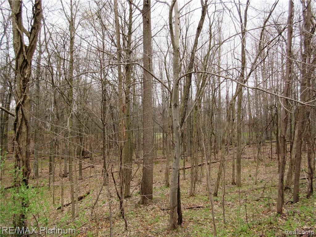 4 Welle Road Brighton, MI 48116 - Photo 8 of 8