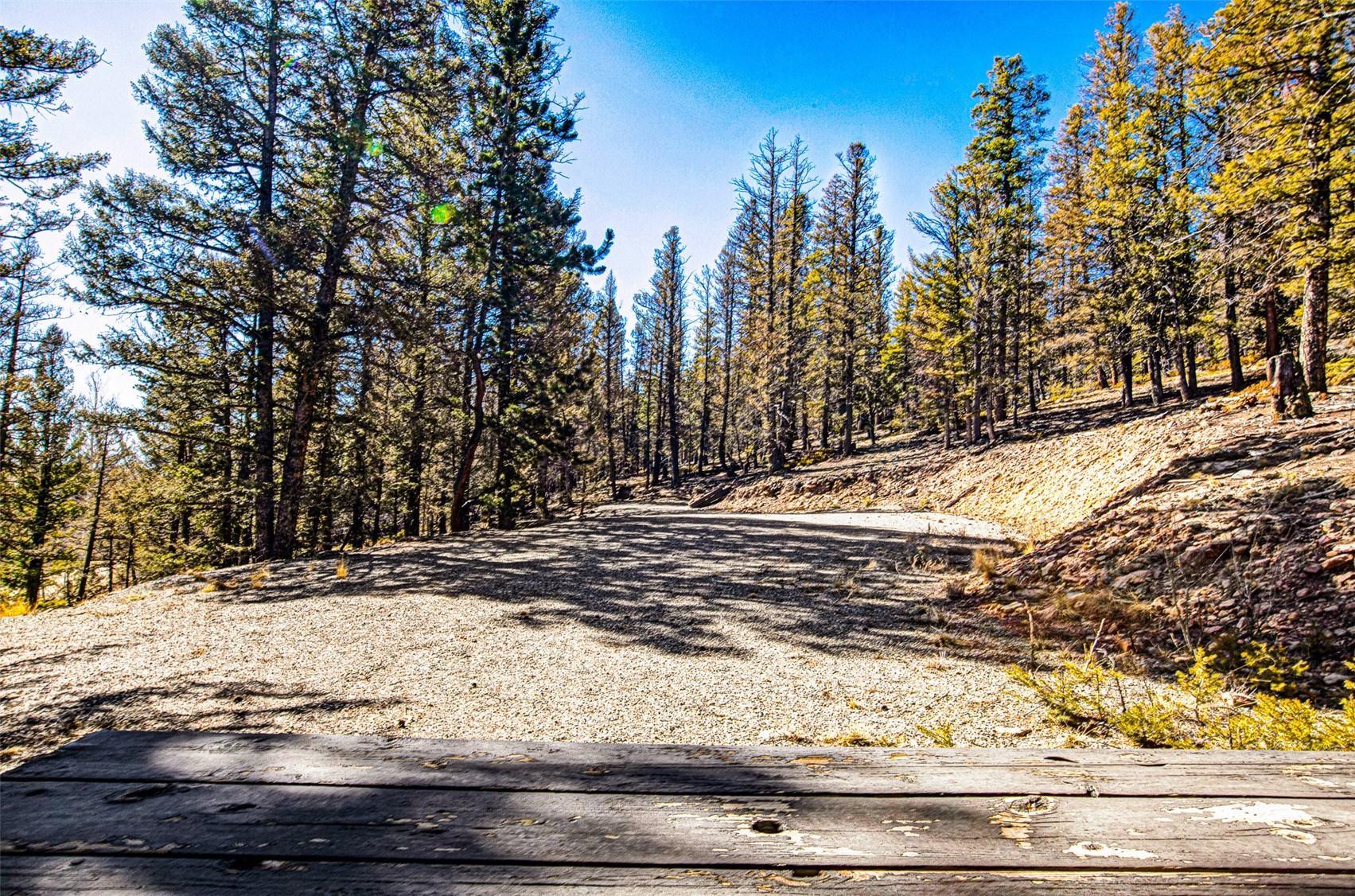 2623 Redhill Road Fairplay, CO 80440 - Photo 13 of 27