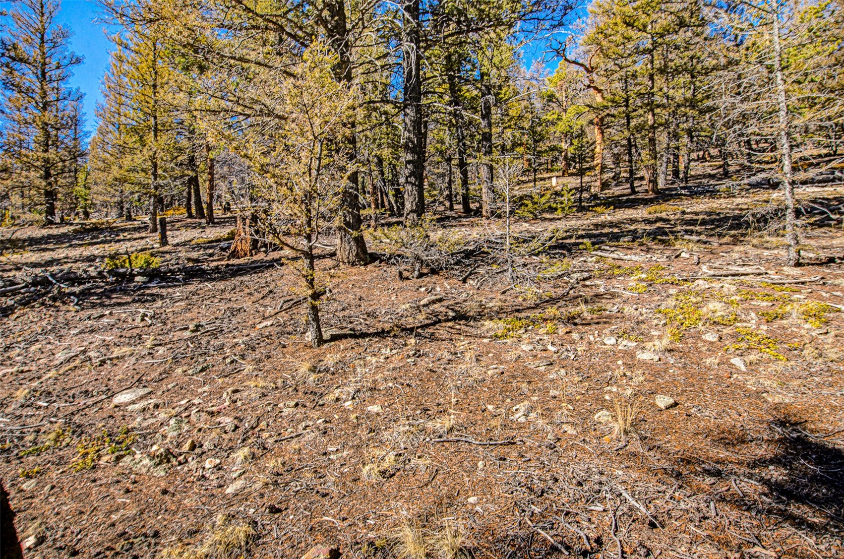 2623 Redhill Road Fairplay, CO 80440 - Photo 17 of 27