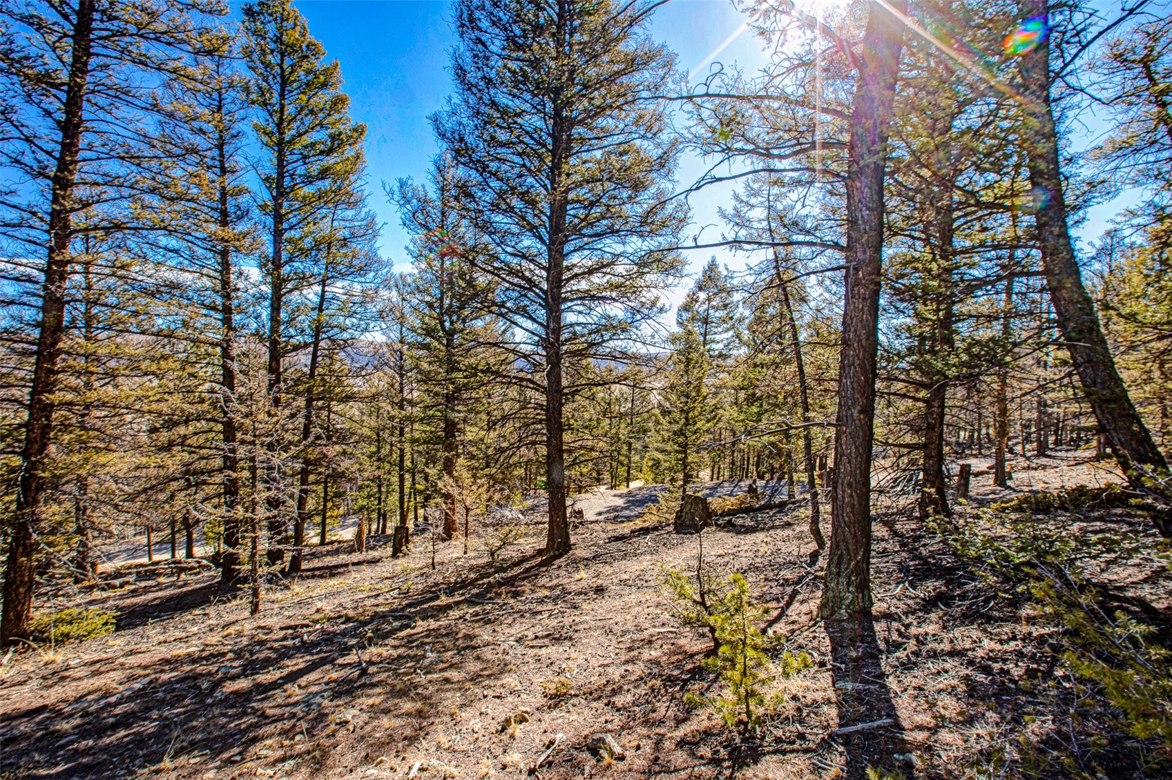 2623 Redhill Road Fairplay, CO 80440 - Photo 18 of 27