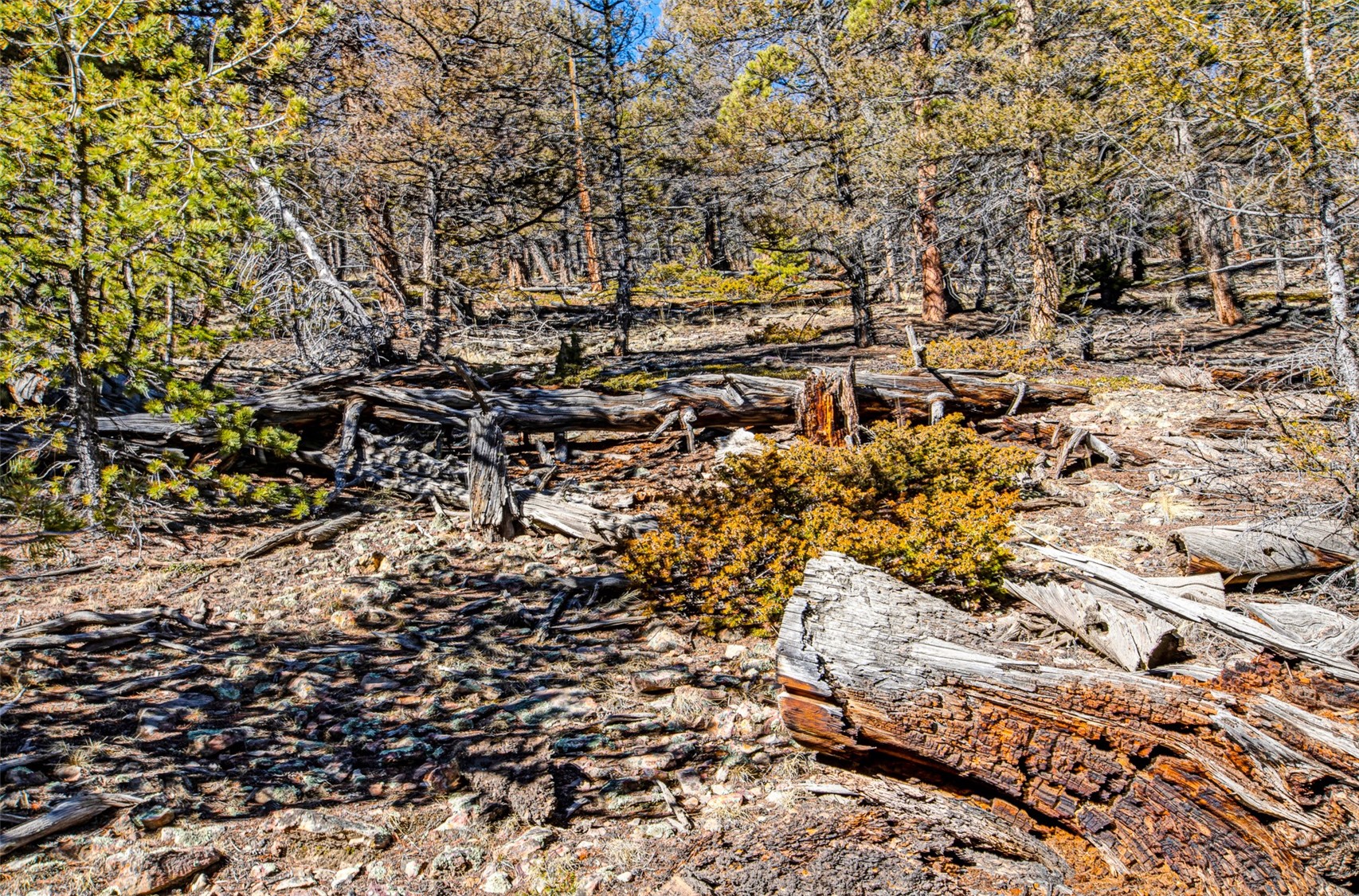 2623 Redhill Road Fairplay, CO 80440 - Photo 20 of 27