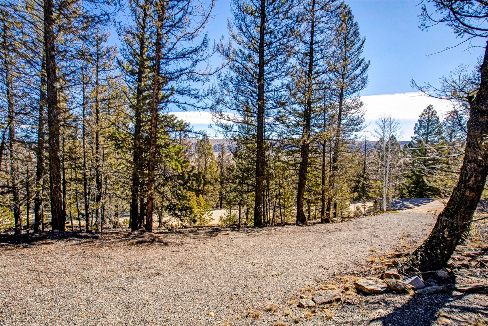 2623 Redhill Road Fairplay, CO 80440 - Photo 2 of 27