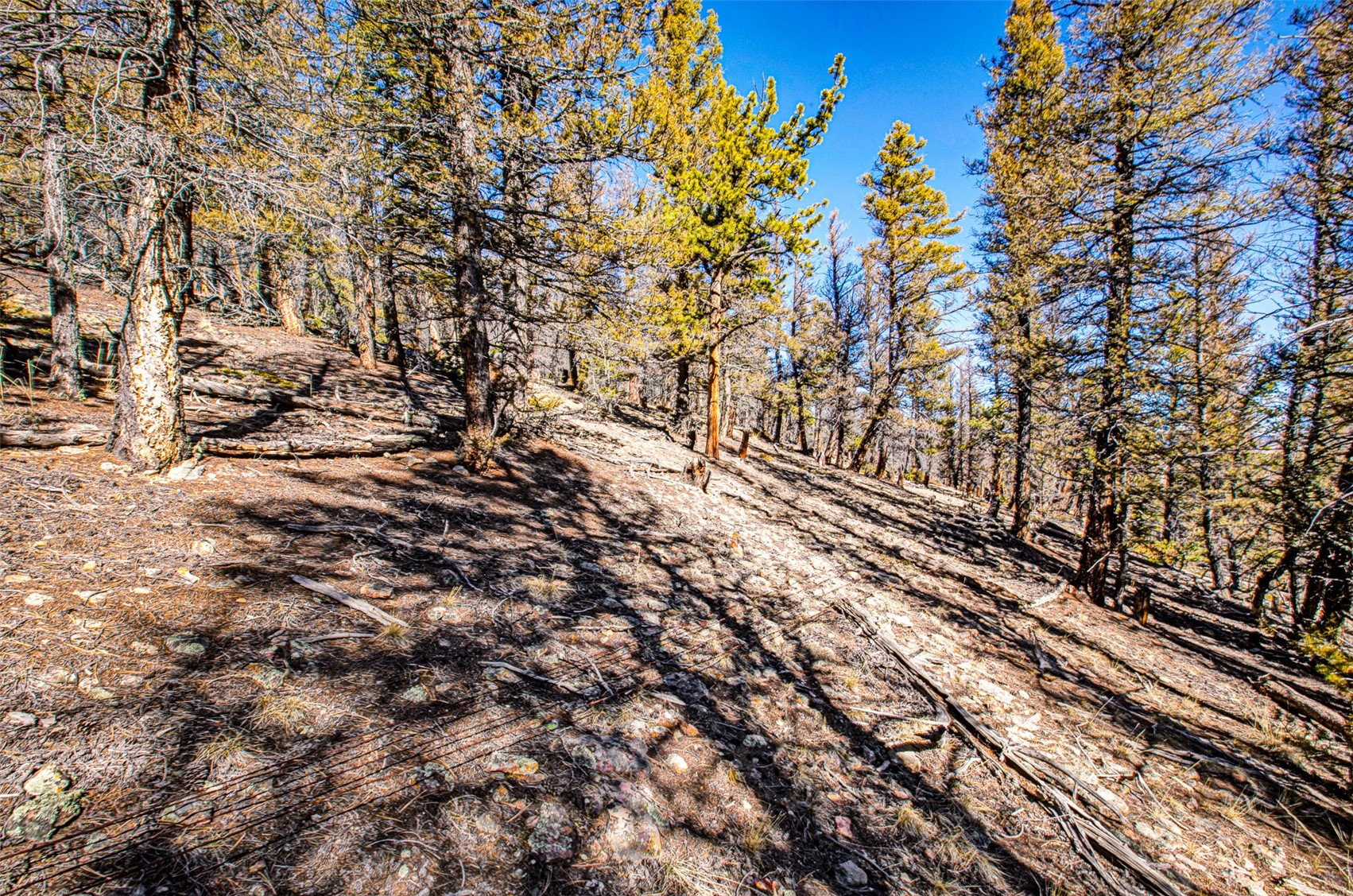 2623 Redhill Road Fairplay, CO 80440 - Photo 23 of 27