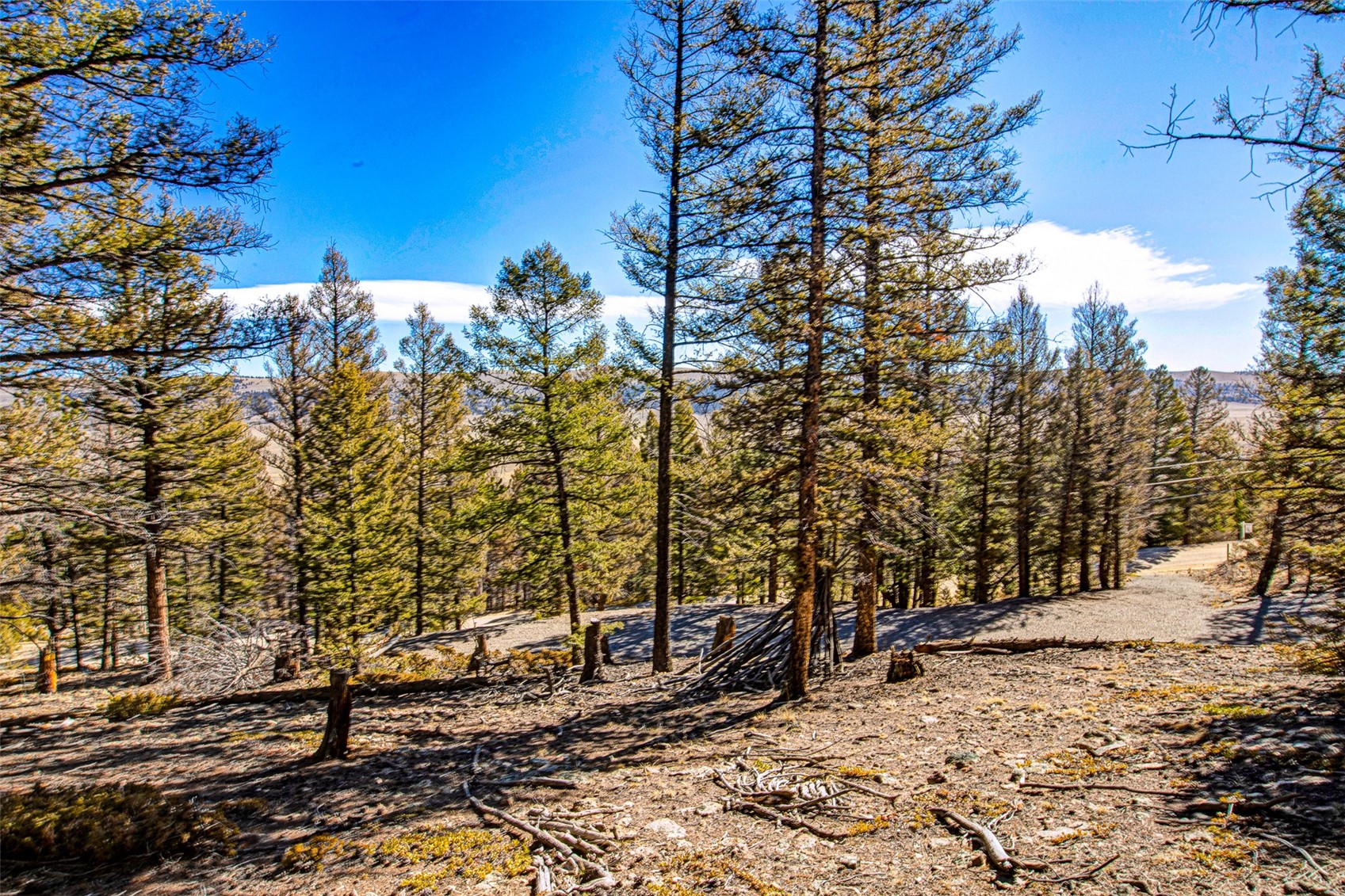 2623 Redhill Road Fairplay, CO 80440 - Photo 3 of 27