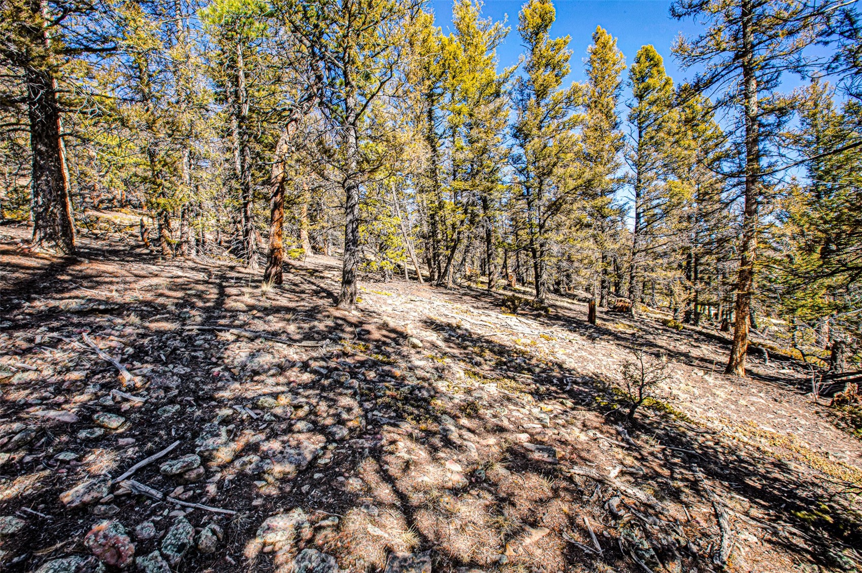 2623 Redhill Road Fairplay, CO 80440 - Photo 4 of 27