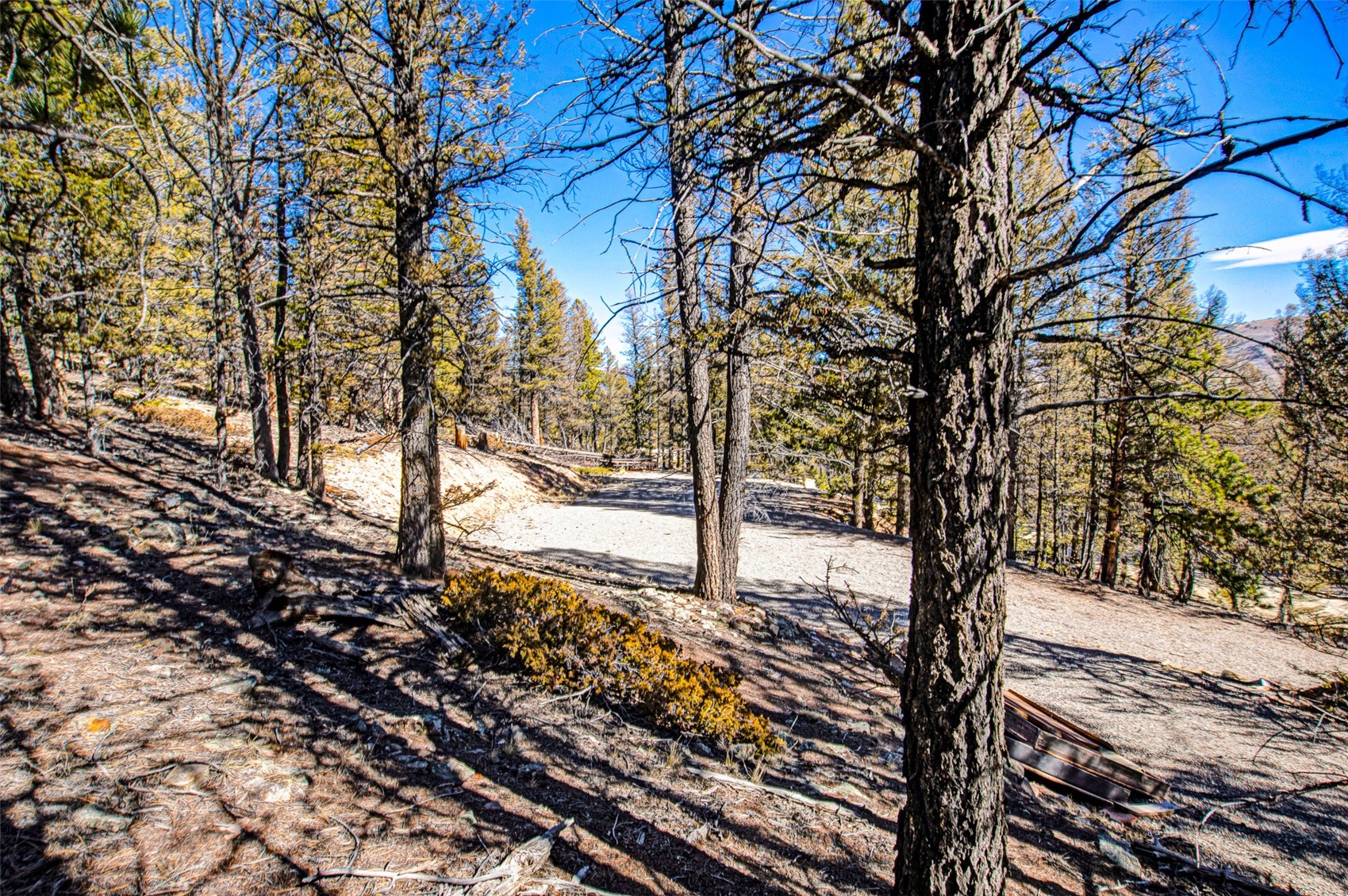 2623 Redhill Road Fairplay, CO 80440 - Photo 5 of 27