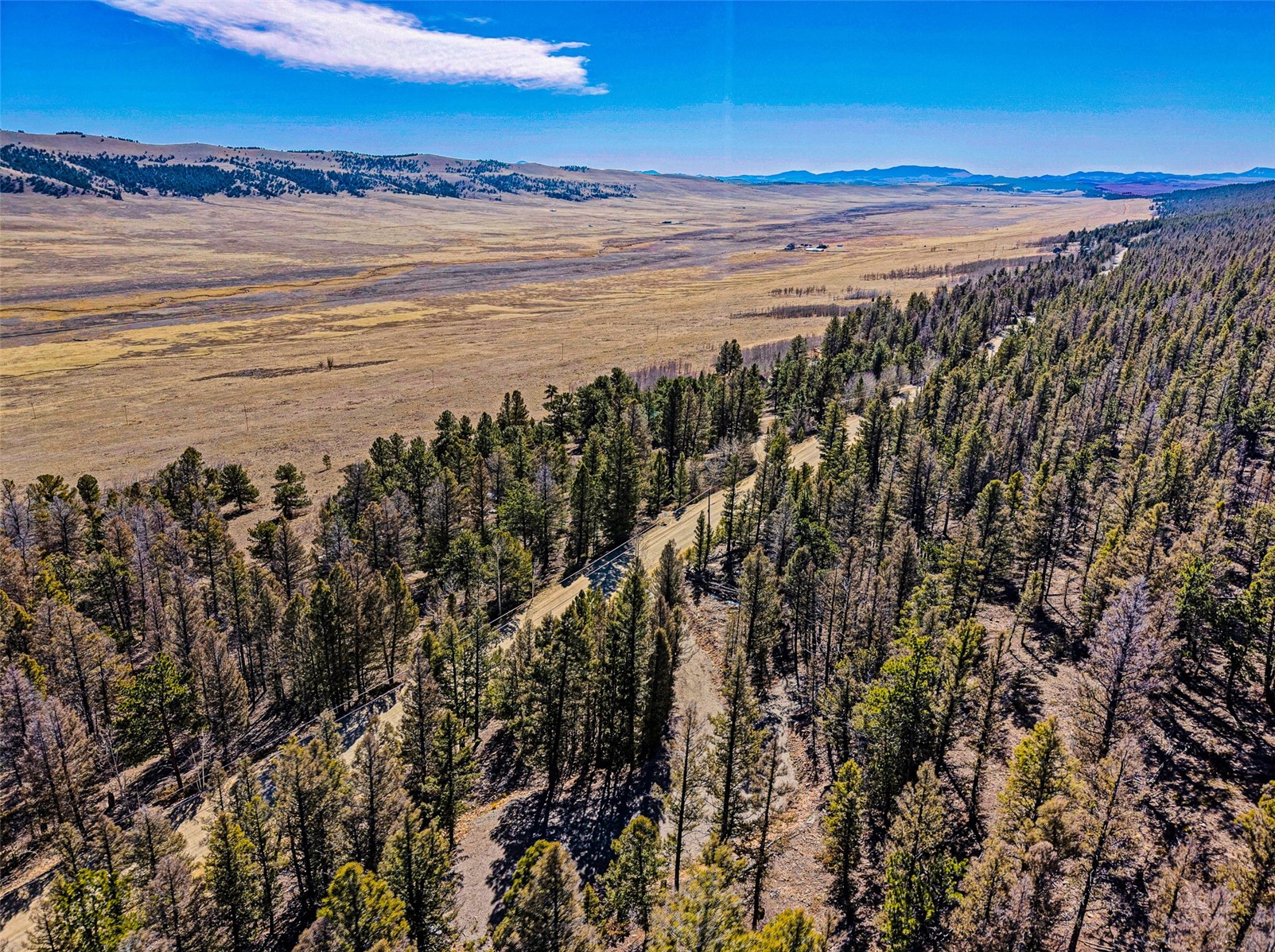 2623 Redhill Road Fairplay, CO 80440 - Photo 6 of 27